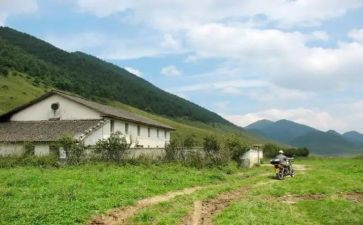 2024年护林站工作总结8篇