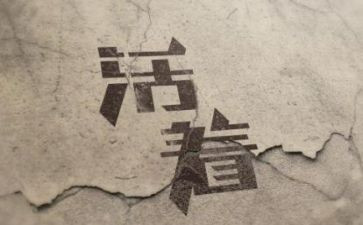 活着400字读后感最新8篇