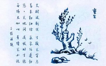 保护生态环境演讲稿演讲稿5篇