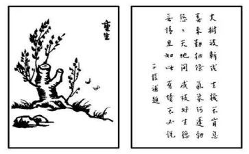 保护生态文明心得体会8篇