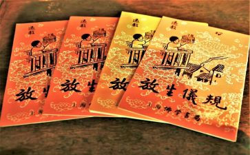 守护生命的人作文精选7篇