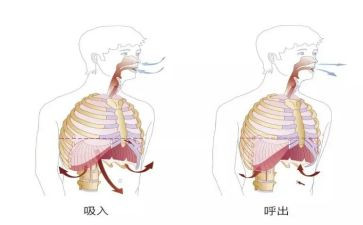 2024年呼吸科护士述职报告5篇