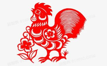 捉小鸡教案8篇