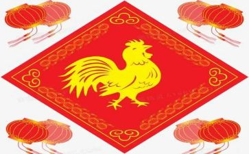 鸡购销合同模板8篇
