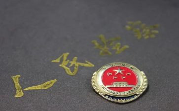 检察工作总结6篇