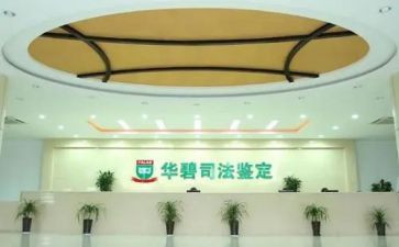 2024年司法鉴定所工作总结7篇