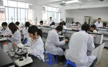 职业技能鉴定站工作总结6篇