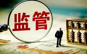 监管个人总结优秀5篇