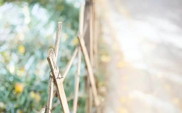 将心比心作文8篇