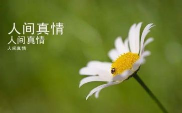 真情流露作文作文推荐8篇