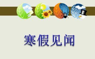 关于假期见闻的作文6篇