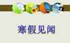 关于假期见闻的作文6篇