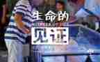 我见证我成长作文参考8篇