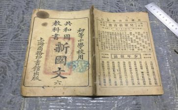 教科处述职报告优质6篇