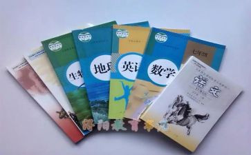 教科室主任工作总结5篇
