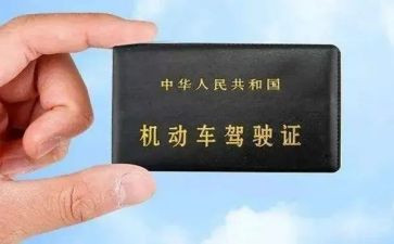 驾照心得体会8篇