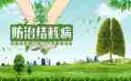 结核病日宣传工作总结5篇
