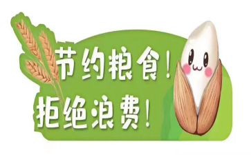青春节粮活动总结优秀7篇