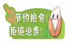 青春节粮活动总结优秀7篇