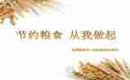爱粮节粮的演讲稿6篇