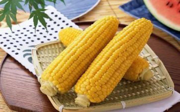 家乡的玉米地作文8篇