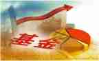 基金会计全年工作计划6篇