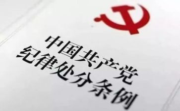 纪律部工作总结8篇