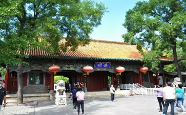 晋祠读后感600字8篇