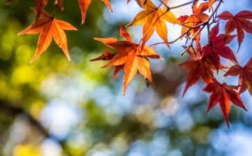 水浒传,景阳冈读后感7篇