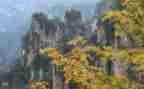 描写春天景色作文5篇