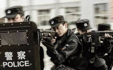 2024年警察工作总结范文7篇