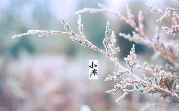 小班节气教案6篇
