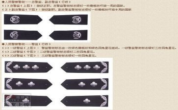 进警衔培训心得体会8篇