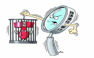 经责审计工作总结6篇