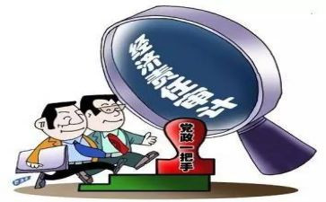 经责审计工作总结参考5篇