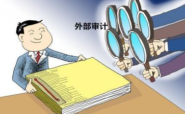经责审计工作总结模板8篇