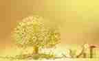 金融专业毕业生自我鉴定7篇