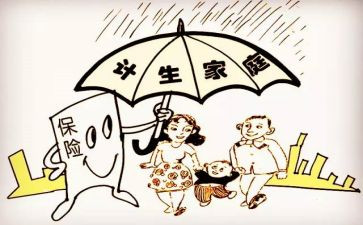 村j计生专述职报告5篇