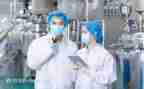 技术总结报告和工作总结报告模板8篇