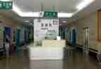 急诊护士节演讲稿6篇