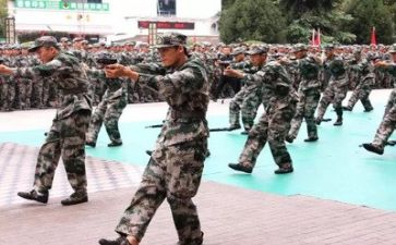 800字的军训心得体会精选6篇