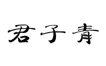 竹君子的作文优质6篇