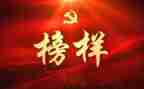学教师楷模心得体会7篇