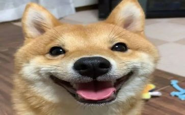 作文他开心了作文参考6篇