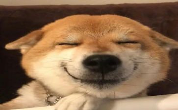 那一次,我真开心初中作文7篇