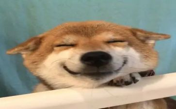 开心每一天作文6篇