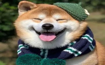 我开心的一天作文500字5篇