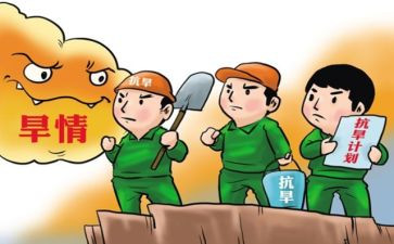 村防汛抗旱工作总结精选5篇