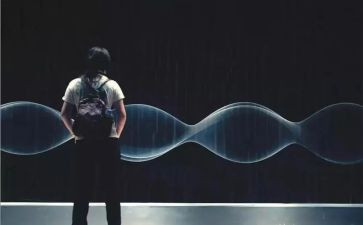 我看见作文500字5篇
