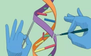 冀教版科学教案8篇